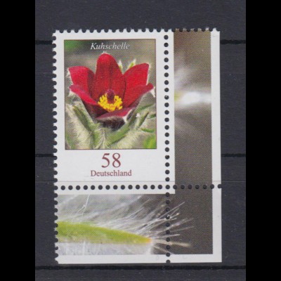 Bund 2968 Eckrand rechts unten Blumen Kuhschelle 58 C postfrisch
