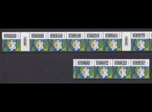 Bund 3644 QR-Code RA 11er Streifen Plattenkanal Seebriefrose 5 C postfrisch /1