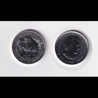 Silbermünze 1 OZ Kanada 5 Dollars Wildlife Serie Bison 2013 stempelglanz 
