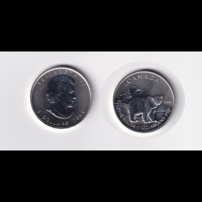Silbermünze 1 OZ Kanada 5 Dollar 2011 Bär Stempelglanz