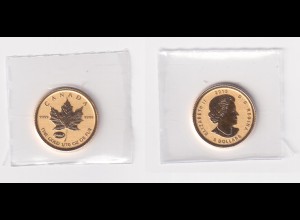 Goldmünze Kanada Maple Leaf 1/10 OZ 2015 Privy Mark Einstein eingeschweißt